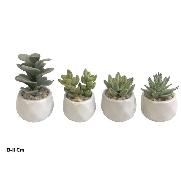 MACETA C- SUCULENTAS - FLOC  8 -11 CM (S)