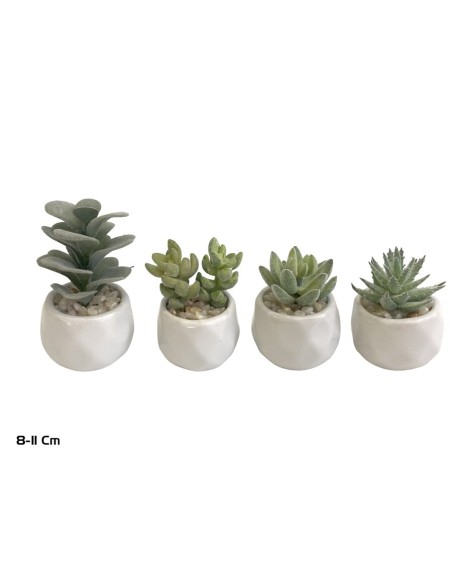 MACETA C- SUCULENTAS - FLOC  8 -11 CM (S)