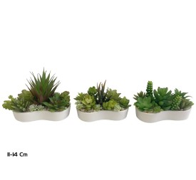 MACETA C- SUCULENTAS COMBI 11-14 CM (S)