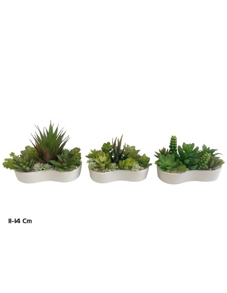 MACETA C- SUCULENTAS COMBI 11-14 CM (S)
