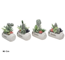 MACETA SUCULENTAS COMBI-LATA 16 CM (S)