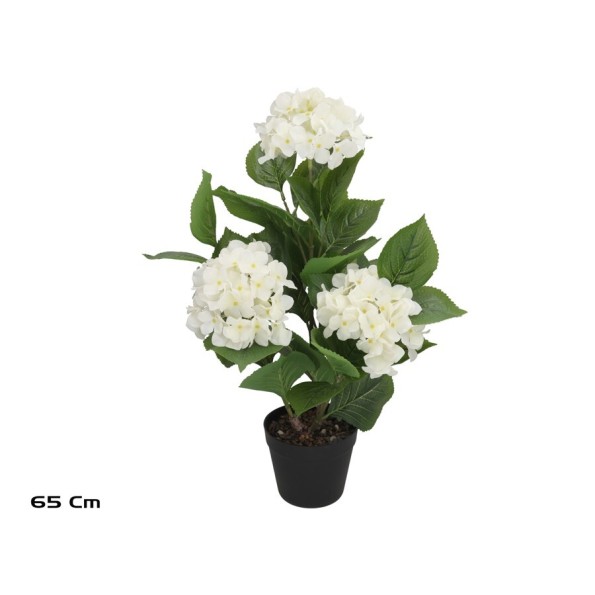 PLANTA HORTENSIA R/T X 3 -65CM (BLANCO)