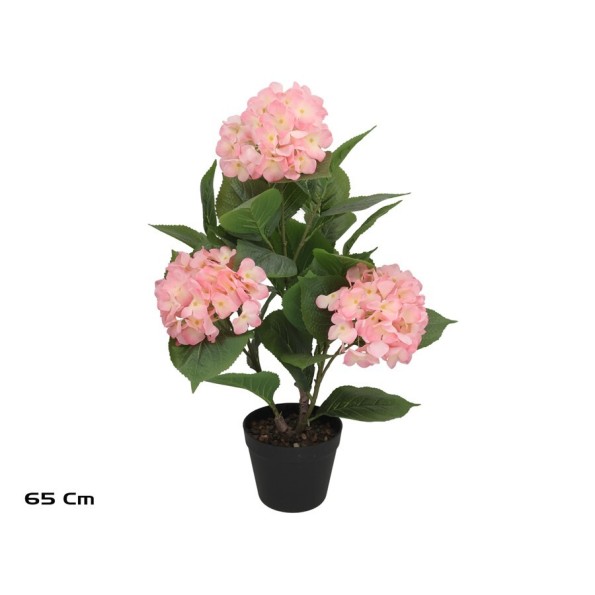 PLANTA HORTENSIA R/T X 3 -65CM (ROSA)