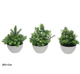 MACETA MIX PLANTAS - 20 CM (S)