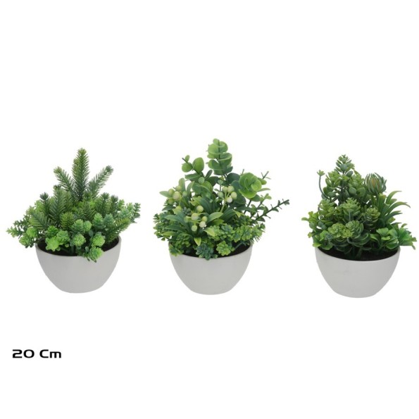 MACETA MIX PLANTAS - 20 CM (S)