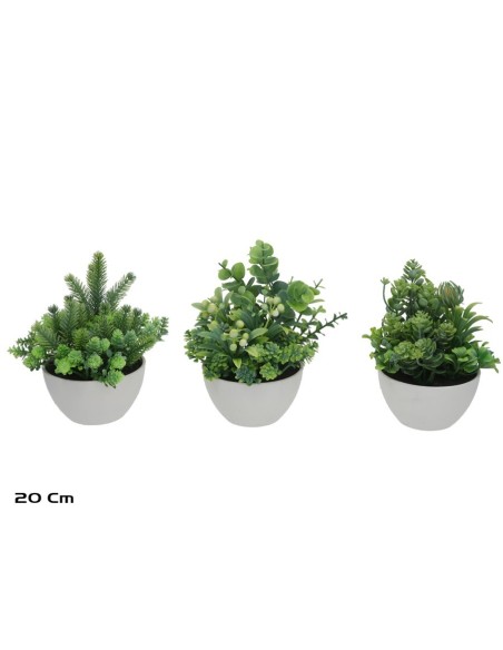 MACETA MIX PLANTAS - 20 CM (S)