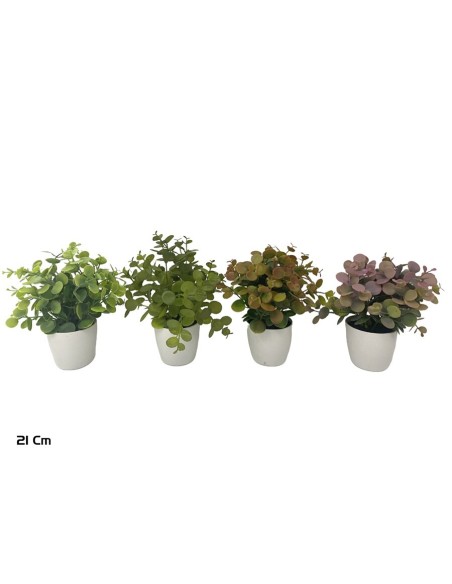 MACETA EUCALYPTUS - 21 CM (S)