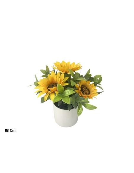 MACETA GIRASOLES X 3 - 18 CM