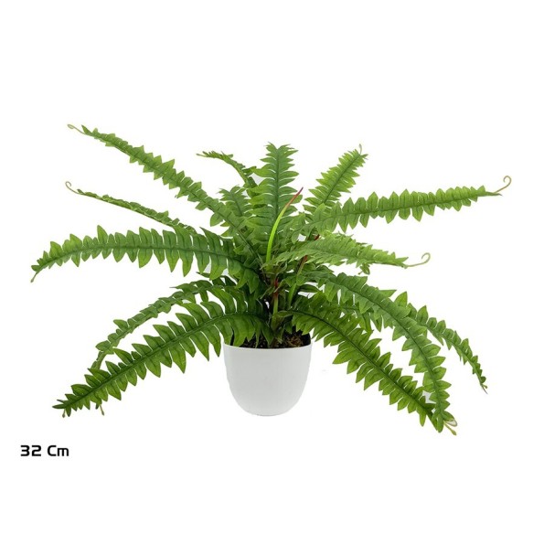 MACETA BOSTON FERN X 15 LVS - 32 CM