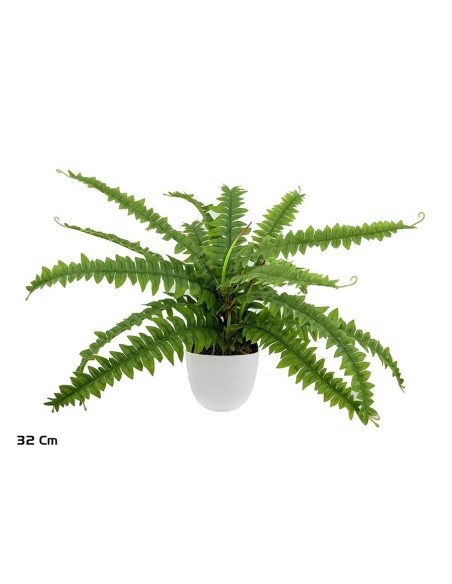 MACETA BOSTON FERN X 15 LVS - 32 CM