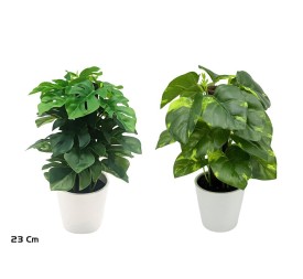 MACETA POTUS-MONS COCO X 24 -23 CM (S)