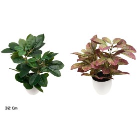 MACETA SCHEFFLERA - 32 CM (S)