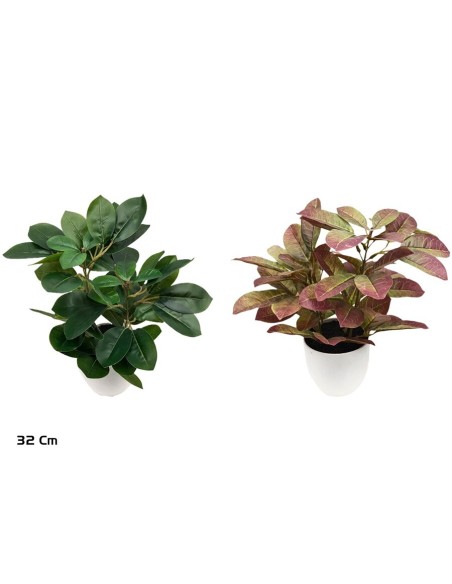 MACETA SCHEFFLERA - 32 CM (S)