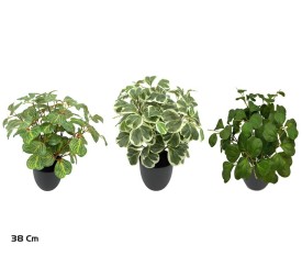 MACETA PLANTA X 117 HOJAS - 38 CM (S)