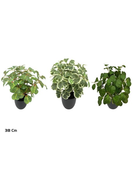 MACETA PLANTA X 117 HOJAS - 38 CM (S)