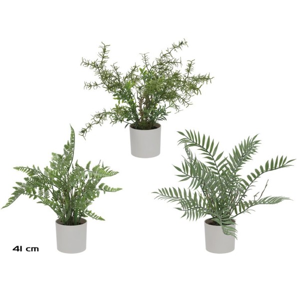 MACETA ARBUSTIVAS D10- 41 CM (S)