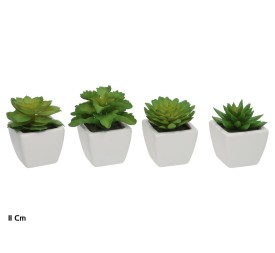 MACETA CERAMICA C/BL SUCULENTAS 11 CM