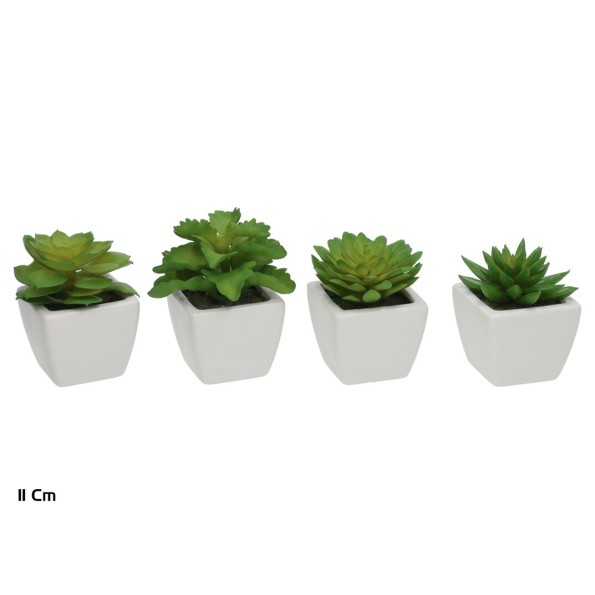 MACETA CERAMICA C/BL SUCULENTAS 11 CM