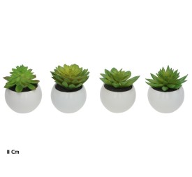 MACETA CERAMICA R/BL SUCULENTAS 11 CM