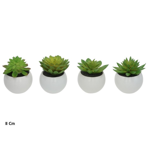 MACETA CERAMICA R/BL SUCULENTAS 11 CM