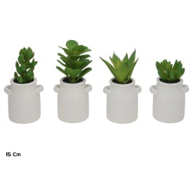 MACETA C- SUCULENTAS AMFORA 12-15 CM (S)