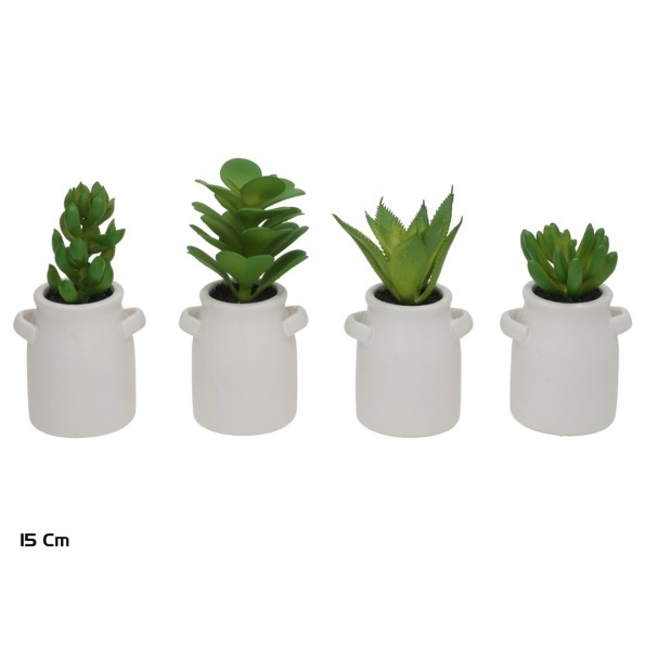 MACETA C- SUCULENTAS AMFORA 12-15 CM (S)