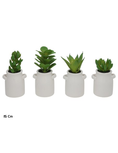 MACETA C- SUCULENTAS AMFORA 12-15 CM (S)