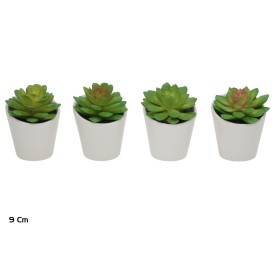 MACETA C- CESTA SUCULENTAS - 9 CM (S)