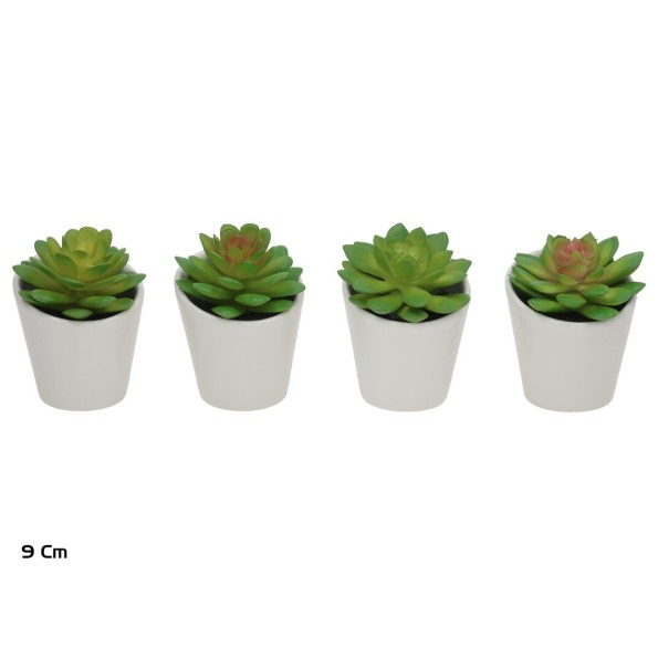 MACETA C- CESTA SUCULENTAS - 9 CM (S)