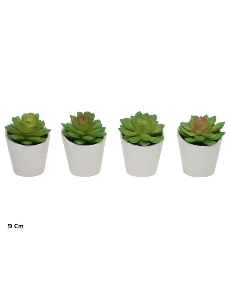 MACETA C- CESTA SUCULENTAS - 9 CM (S)