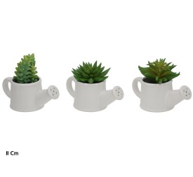 MACETA C-REGADERA SUCULENTAS 11 CM (S)