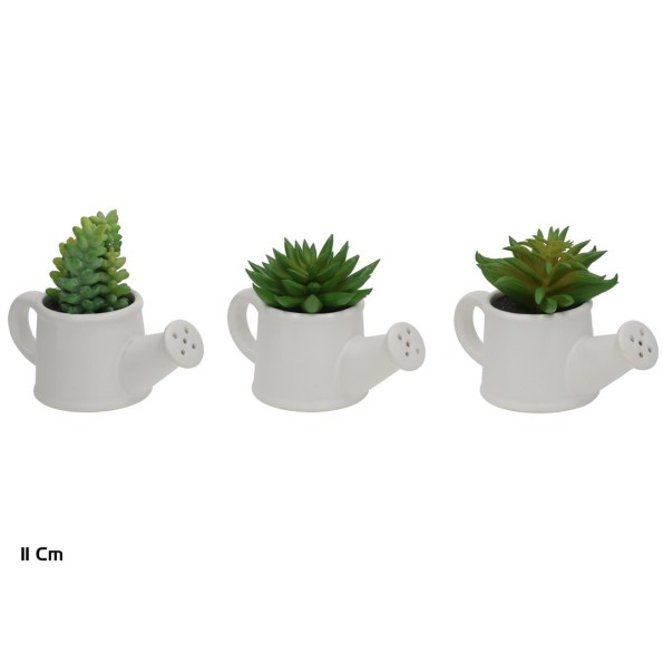 MACETA C-REGADERA SUCULENTAS 11 CM (S)