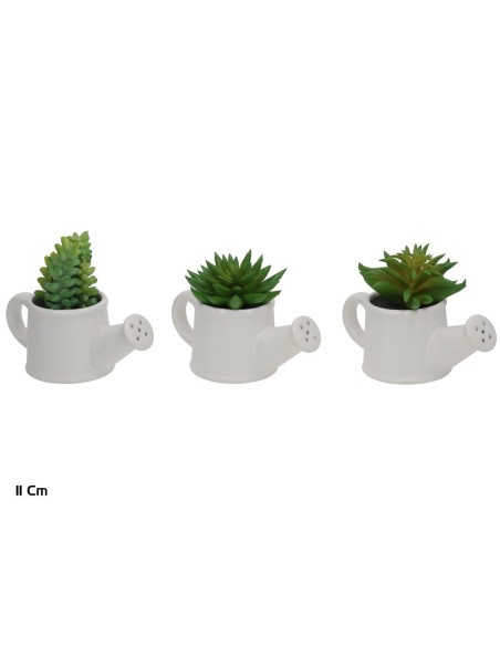 MACETA C-REGADERA SUCULENTAS 11 CM (S)