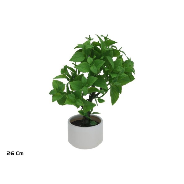 MACETA CERAMICA MENTA - 26 CM (S)