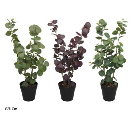 MACETA EUCALIPTO - 63 CM (S)