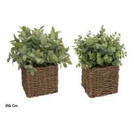 MACETA ALGAS HERBS 26 CM (S)