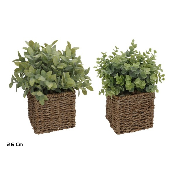 MACETA ALGAS HERBS 26 CM (S)
