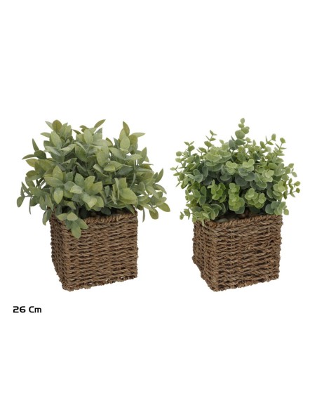 MACETA ALGAS HERBS 26 CM (S)