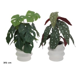 MACETA C- BEGONIA M-MONSTERA - 35 CM (S)