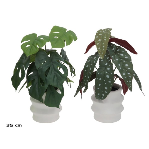 MACETA C- BEGONIA M-MONSTERA - 35 CM (S)