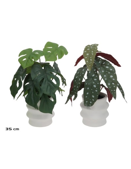 MACETA C- BEGONIA M-MONSTERA - 35 CM (S)