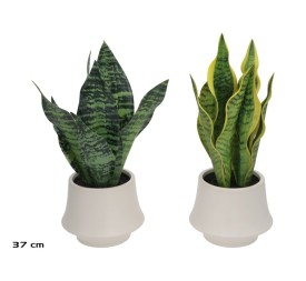 MACETA CERAMICA SENSEVERIA - 37 CM (S)