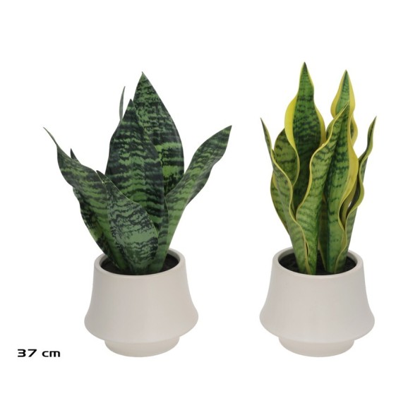 MACETA CERAMICA SENSEVERIA - 37 CM (S)