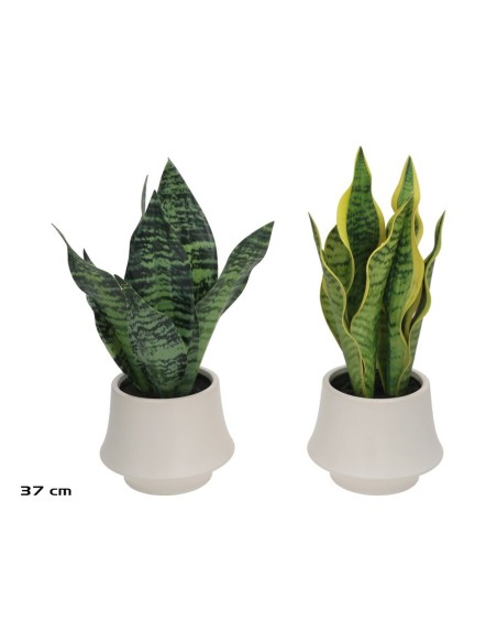 MACETA CERAMICA SENSEVERIA - 37 CM (S)