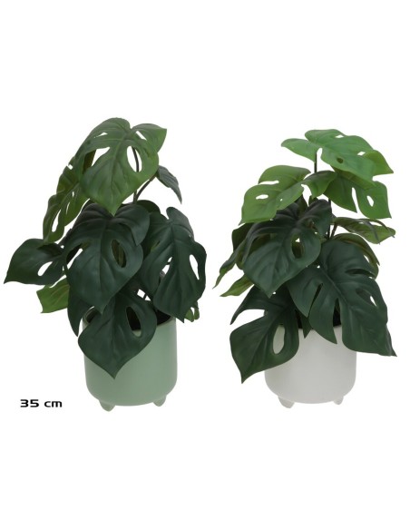 MACETA C-MONSTERA - 35 CM (S)