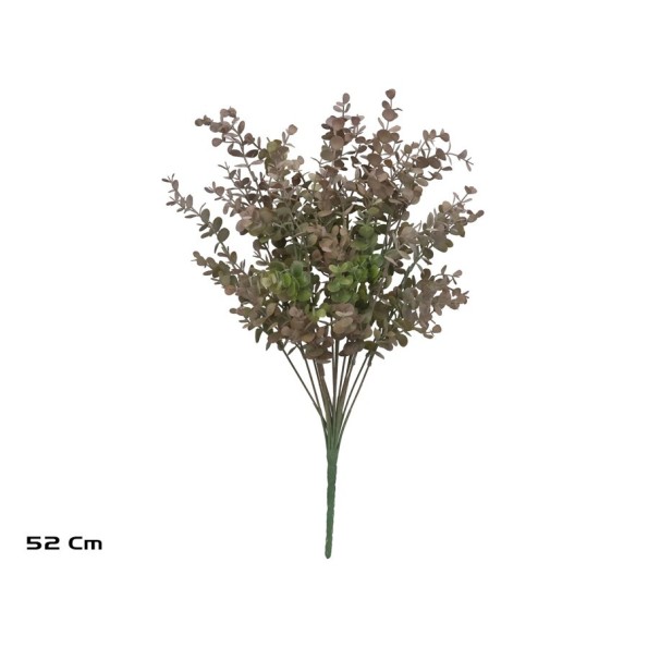 RAMO EUCALIPTO X 18 - 52 CM (MARRON)