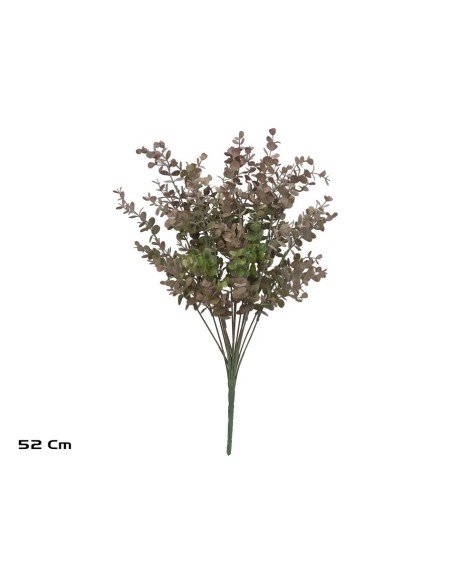 RAMO EUCALIPTO X 18 - 52 CM (MARRON)