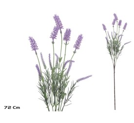 VARA LAVANDA X 5 - 72 CM (VIOLETA)