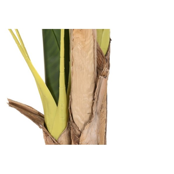 PLANTA POLIESTER PP 90X90X200 PALMERA BANANERA