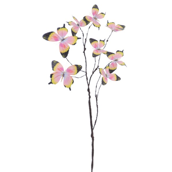 MARIPOSAS 68 CMS   2023-25